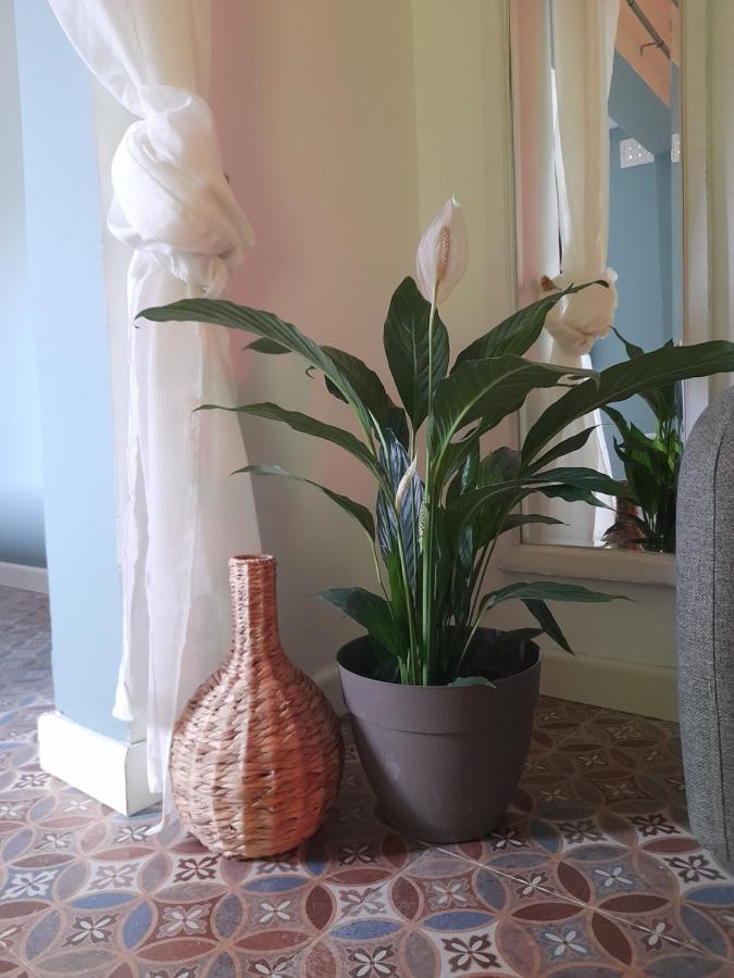 Boho Rooms 斯利马 外观 照片